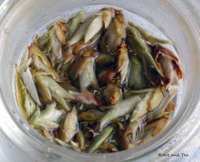 PCM Ya Bao Steep 05-31-14