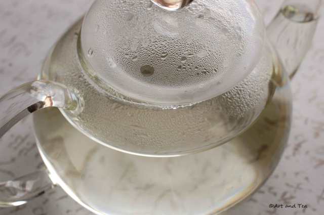 PCM Ya Bao Teapot 05-31-14