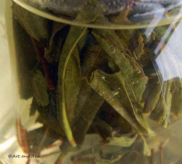 PCM Fairy Oolong Steep 06-14-14