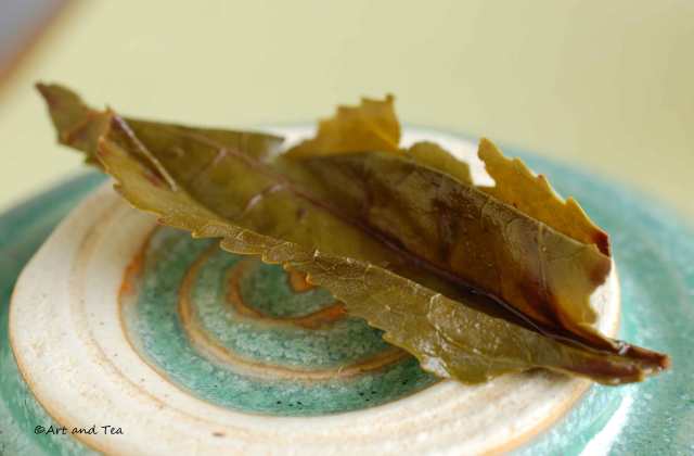 PCM Fairy Oolong Wet Leaf 06-14-14