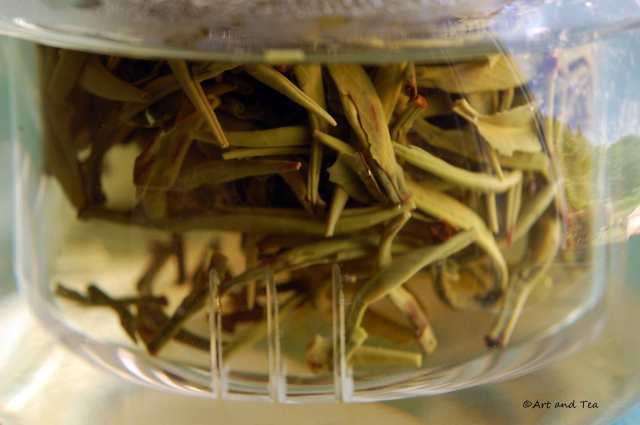 Qing Zhen Steep 06-21-14