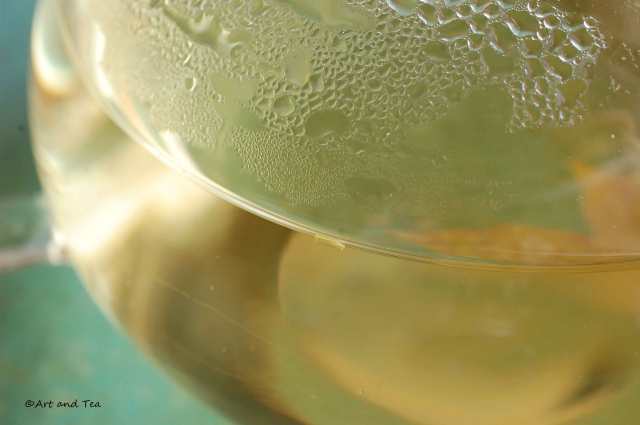 Qing Zhen Teapot 06-21-14