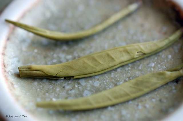 Qing Zhen Wet Leaf 06-21-14