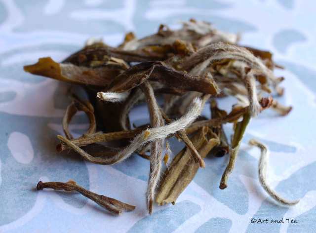 Drum Mountain White Dry Leaf 09-27-14