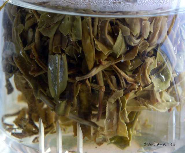 Drum Mountain White Steep 09-27-14