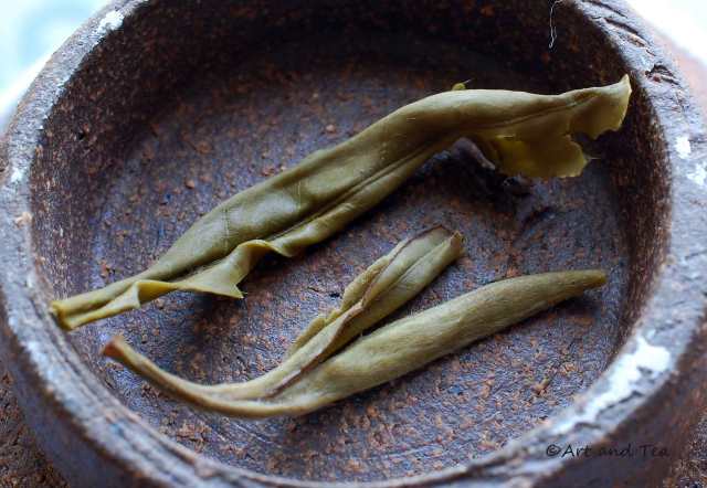 Drum Mountain White Wet Leaf 09-27-14