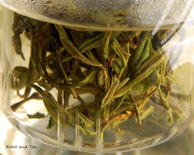 Huangshan Mao Feng Steep 09-13-14