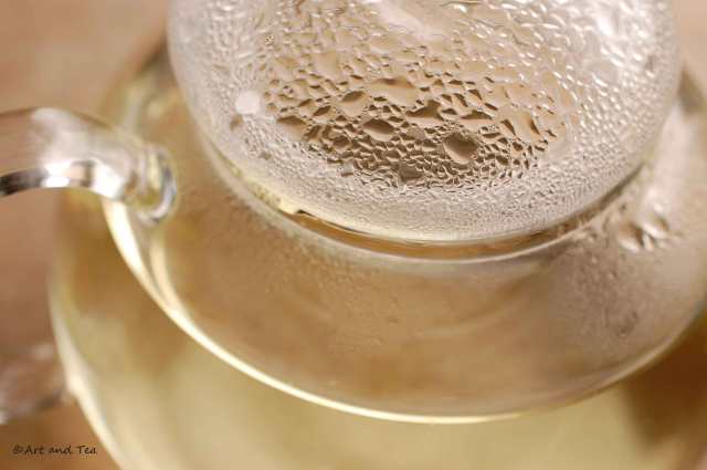 Huangshan Mao Feng Teapot 09-13-14