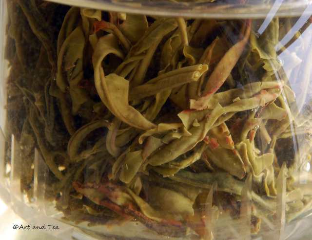 Yunnan Silver Tip Steep 11-22-14