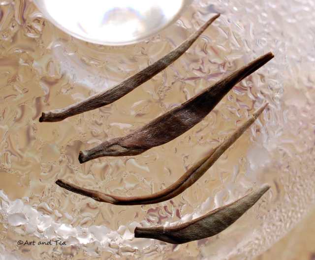 Mackeypore Golden Tips Wet 12-20-14