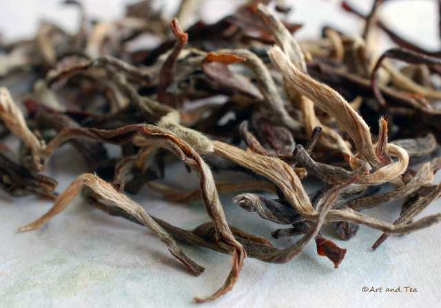 Huang Ya Yellow Tea Dry Leaf 02-21-15