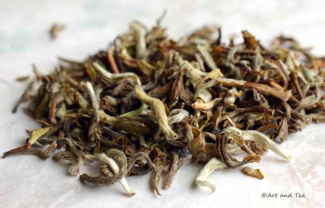 MHopeFFDryLeaf050915