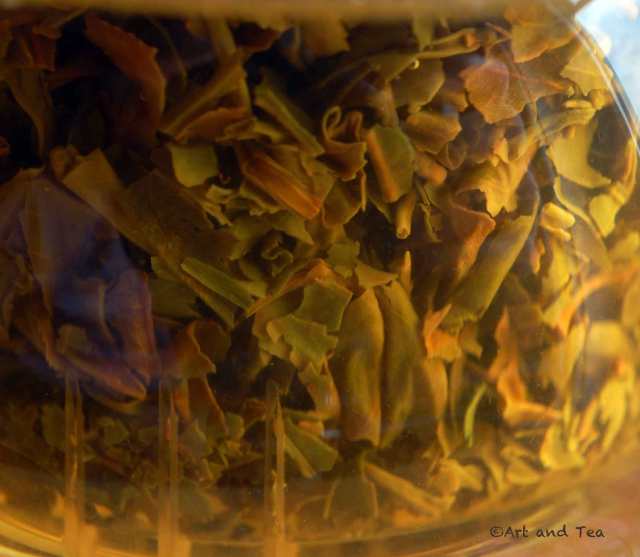 NTukvarFFDarjSteep062015