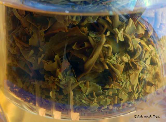 SingbulliFFDarjSteep080115