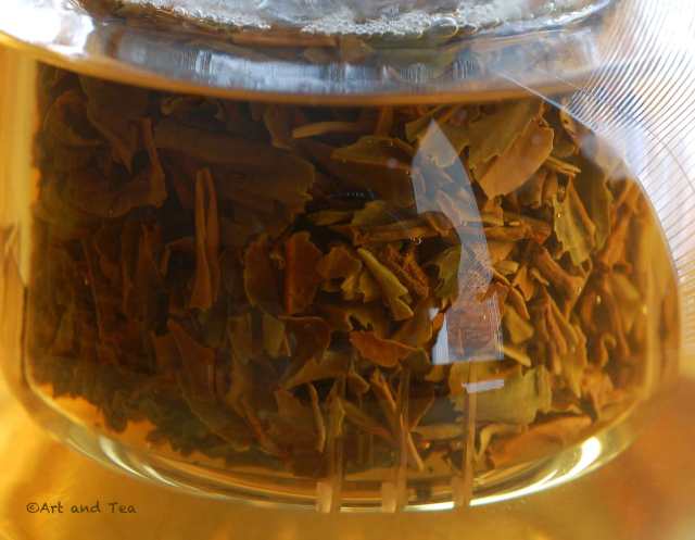 TeestaValley2ndFlDarjSteep110715