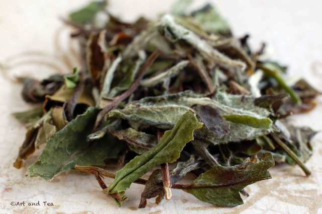 PaiMuTanOrganicDryLeaf010916