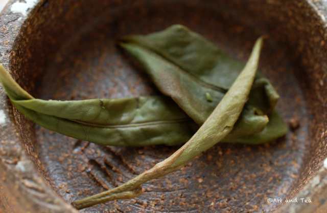 PaiMuTanOrganicWetLeaf010916