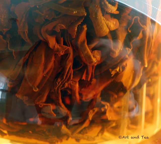 PanyangCongouSteep020616