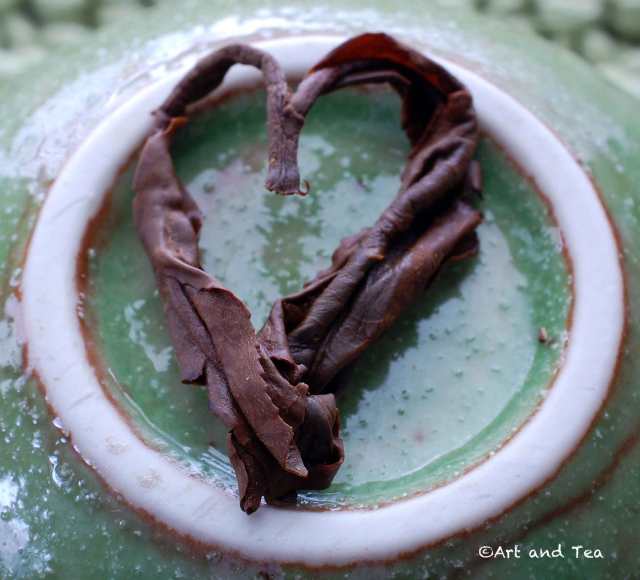 PanyangCongouWet020616