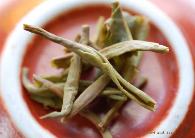 BalasunEstFFDarjWetLeaf041616