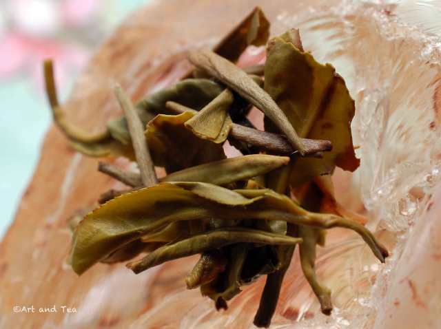 VictoriasPeakFFWetLeaf040216