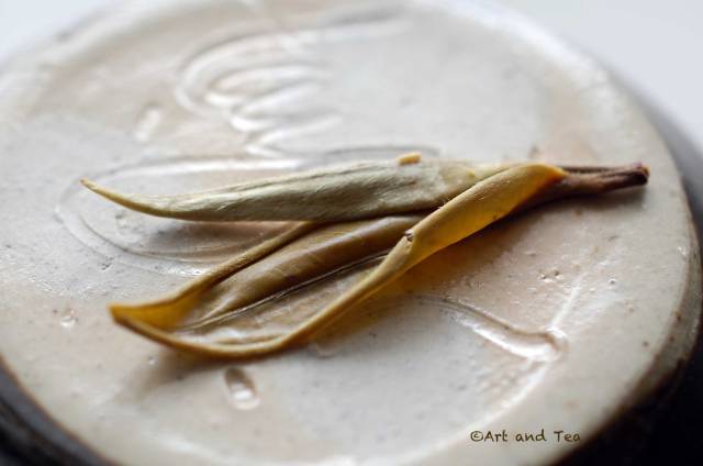 jingguspringbudswetleaf091016