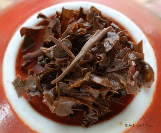 lowcountryceylonwetleaf100816