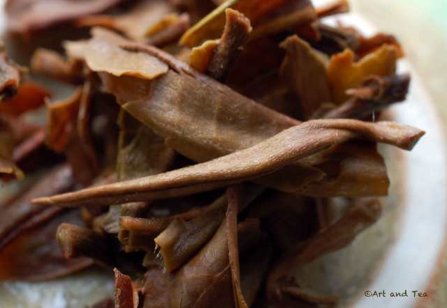 mistvalleynepalwetleaf112616