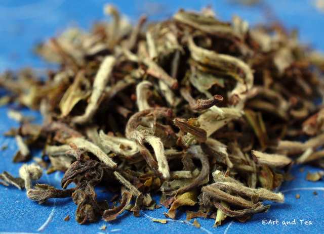 singbulliffdarjsnowwhitedryleaf122416