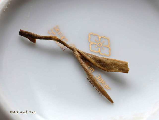 singbulliffdarjsnowwhitewetleaf122416