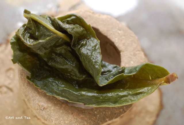 floraltgyoolongwetleaf012117