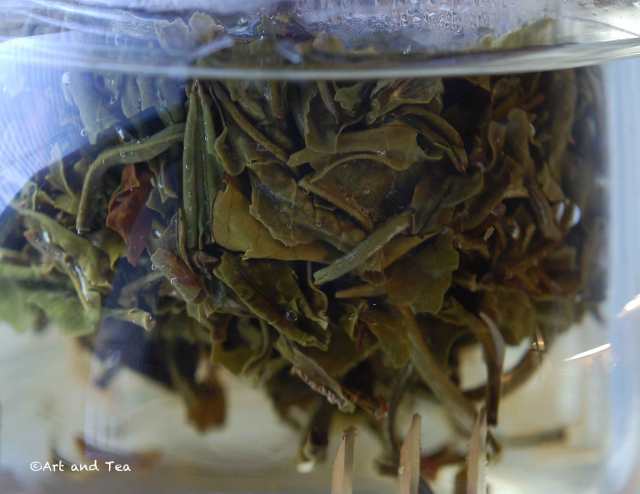 fujiangreensnowbudssteep010716