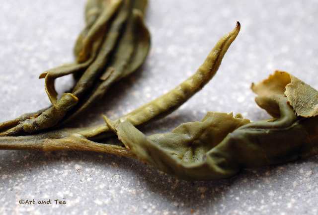 fujiangreensnowbudswetleaf010716