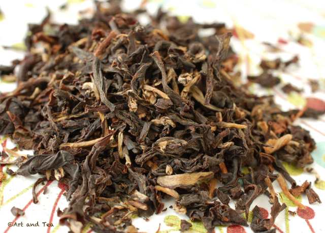 malabarestjavadryleaf021817