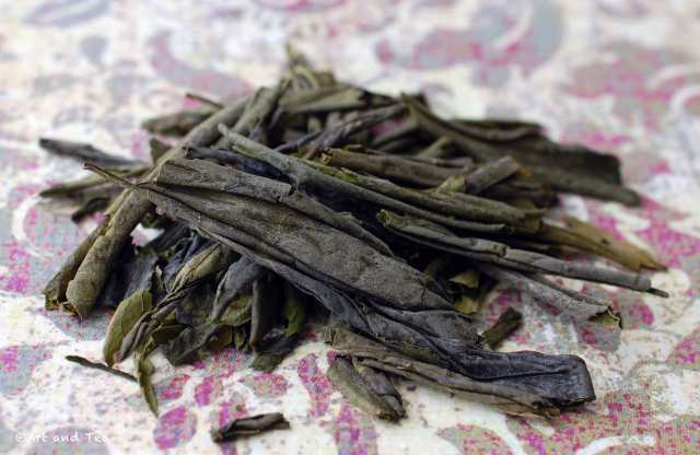 luanmelonseeddryleaf030417