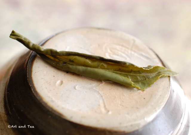 luanmelonseedwetleaf030417